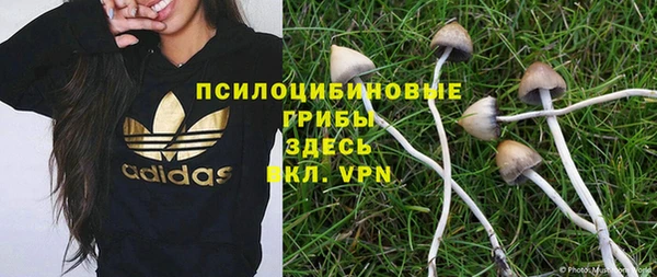 стаф Волоколамск