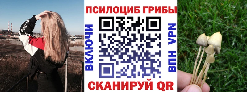 площадка Telegram  Демидов  Галлюциногенные грибы Psilocybine cubensis 